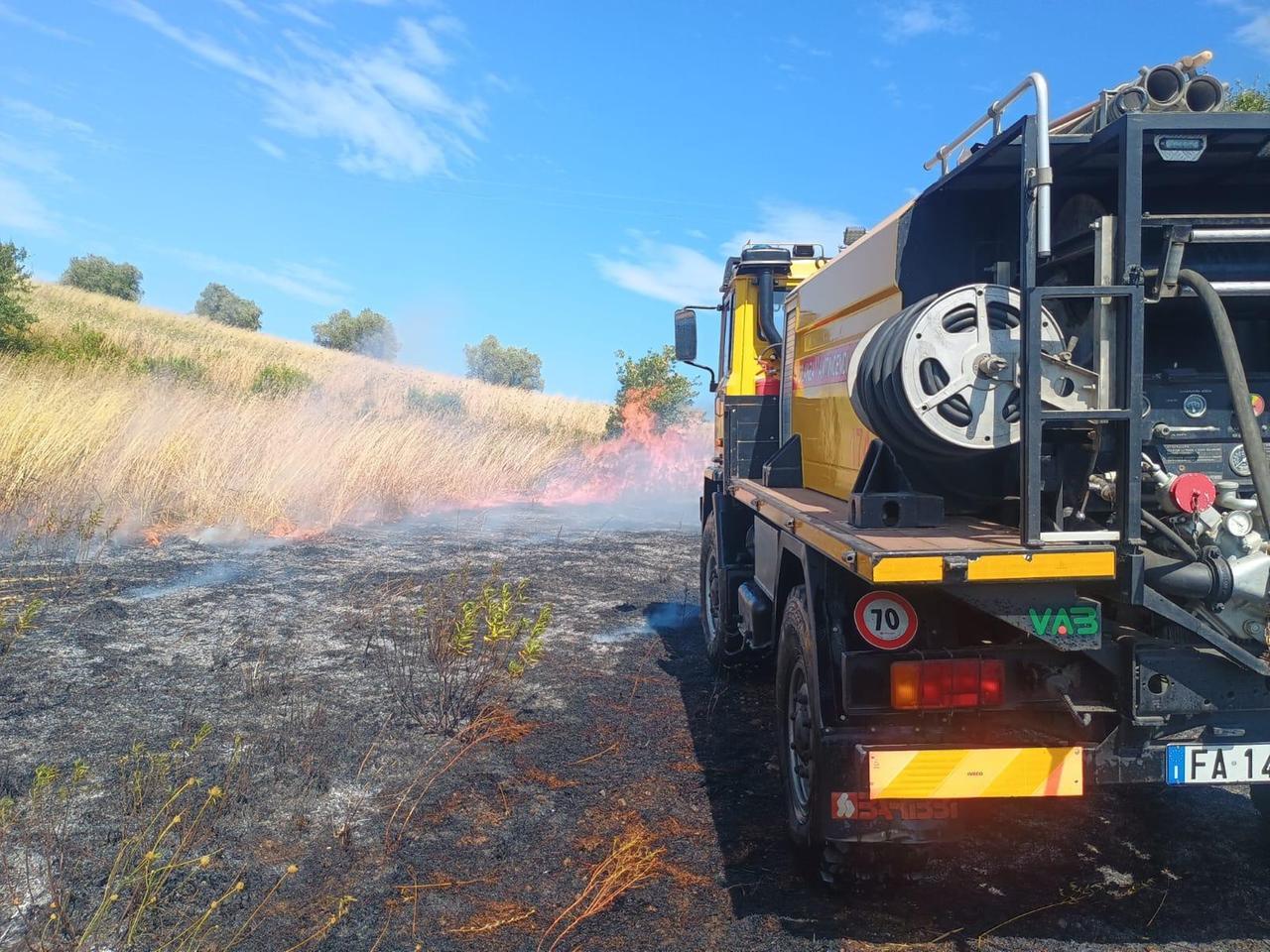 Incendio a Massa Marittima, brucia il bosco vicino agli agriturismi: fiamme domate dai vigili del fuoco