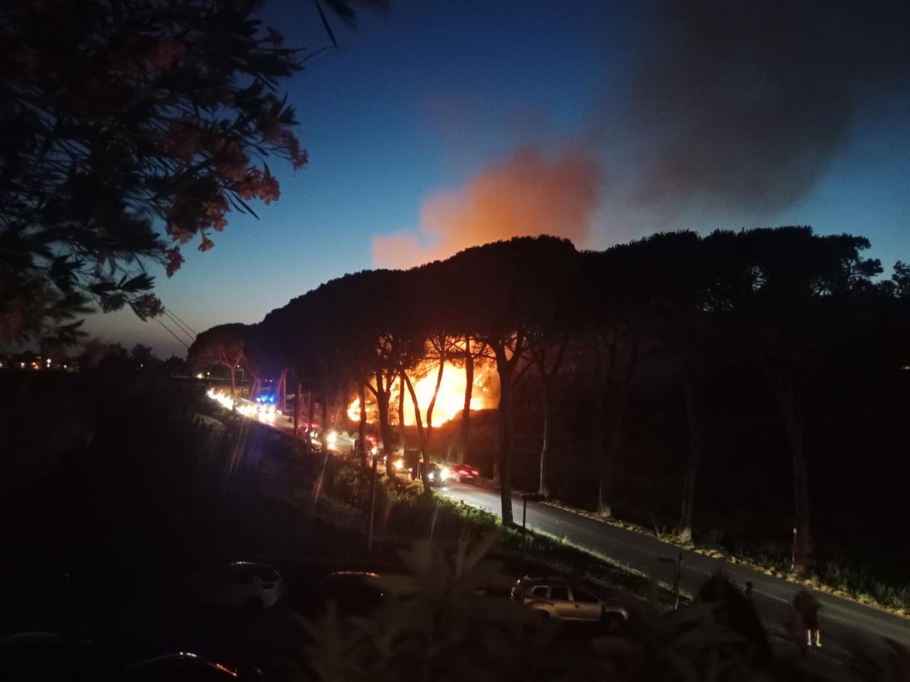 
	L'incendio a Calcinaia (foto Facebook David&nbsp;Brogi)

