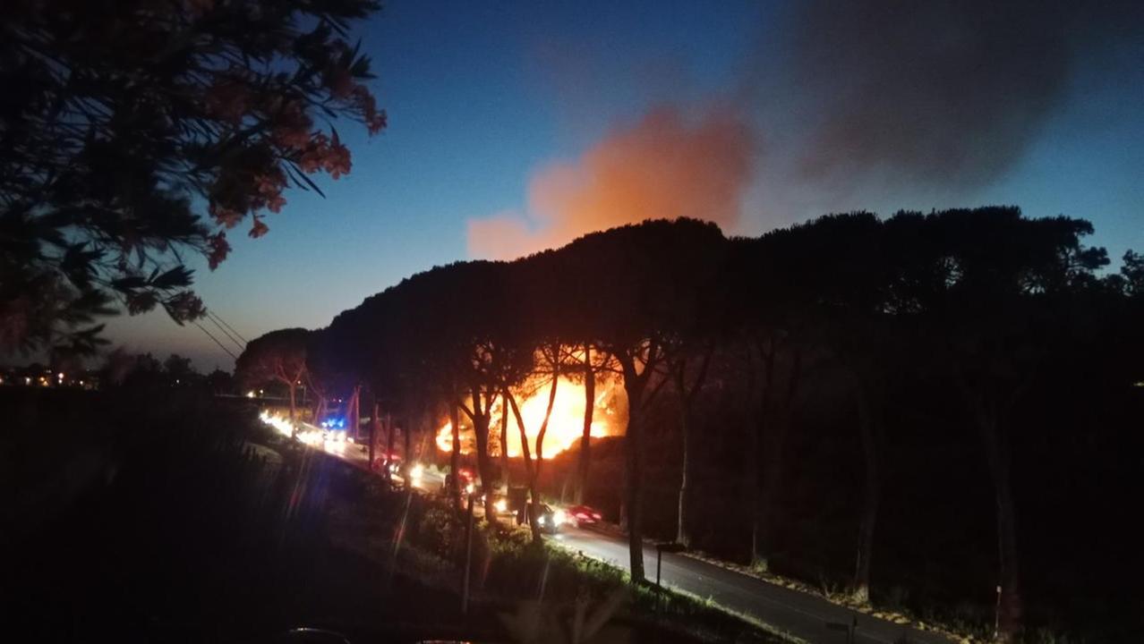 L'incendio a Calcinaia (foto Facebook David Brogi)