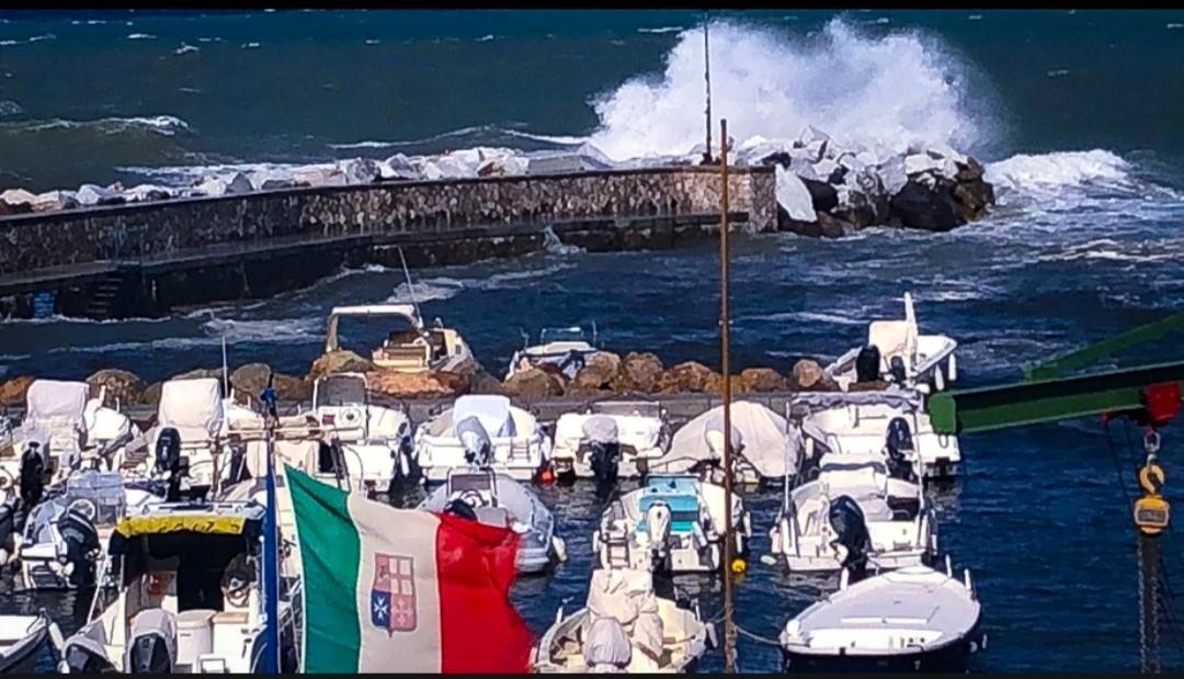 Livorno «ti vedo un po’ ammareggiata». Grazie a Deb