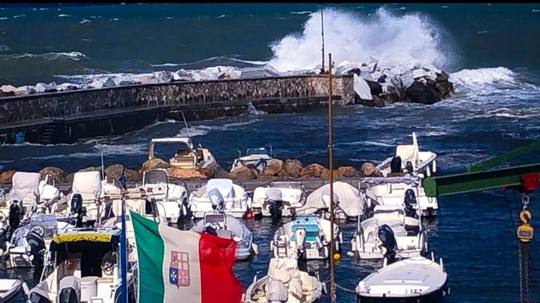 Livorno «ti vedo un po’ ammareggiata». Grazie a Deb