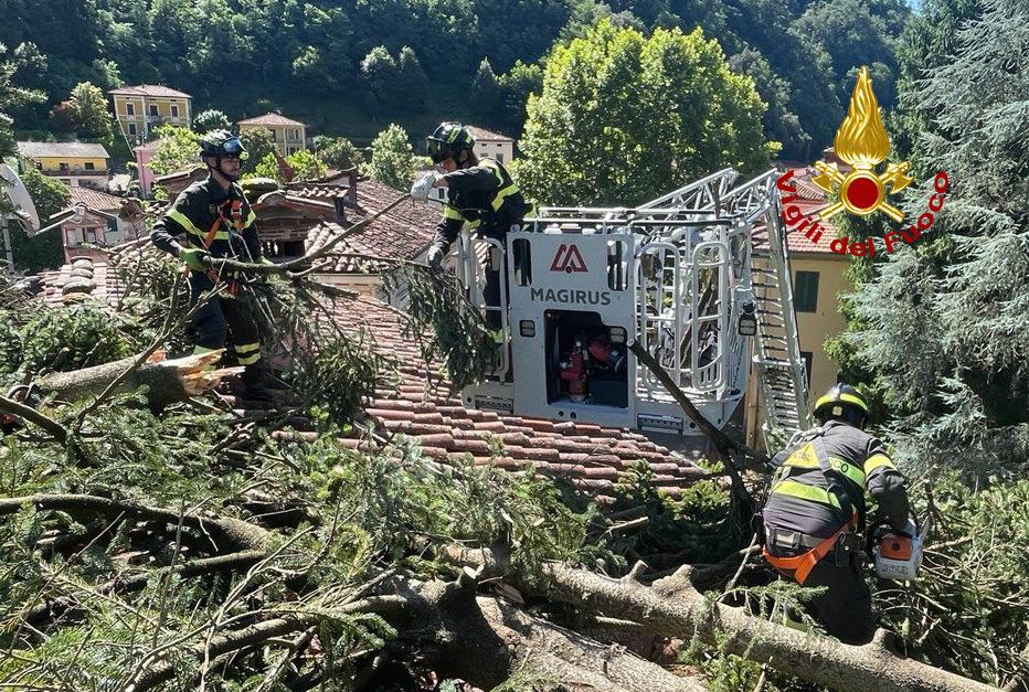 Vento forte a Bagni di Lucca, alberi precipitano su strade e abitazioni. Disagi sulla statale del Brennero