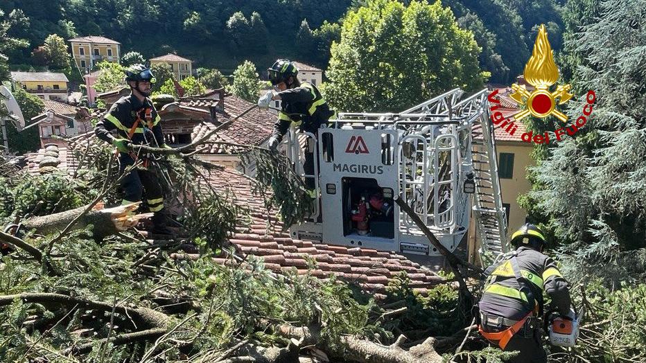 Vento forte a Bagni di Lucca, alberi precipitano su strade e abitazioni. Disagi sulla statale del Brennero