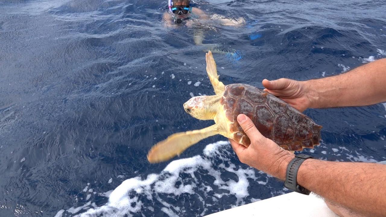 Un mare da salvare, viaggio quotidiano tra coste e natura