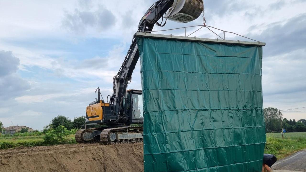 Poviglio, l’argine è crollato per le nutrie: una ricerca lanciava l’allarme nel 2014