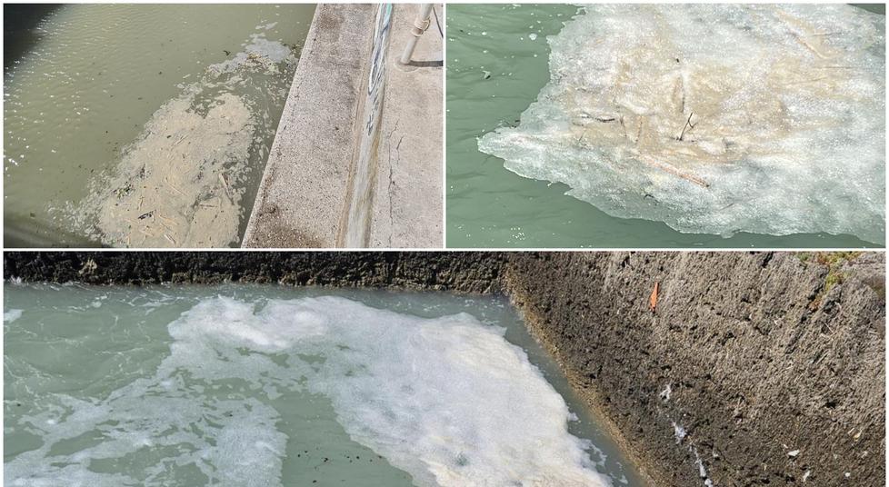 
	La schiuma in acqua nelle foto inviate al Tirreno

