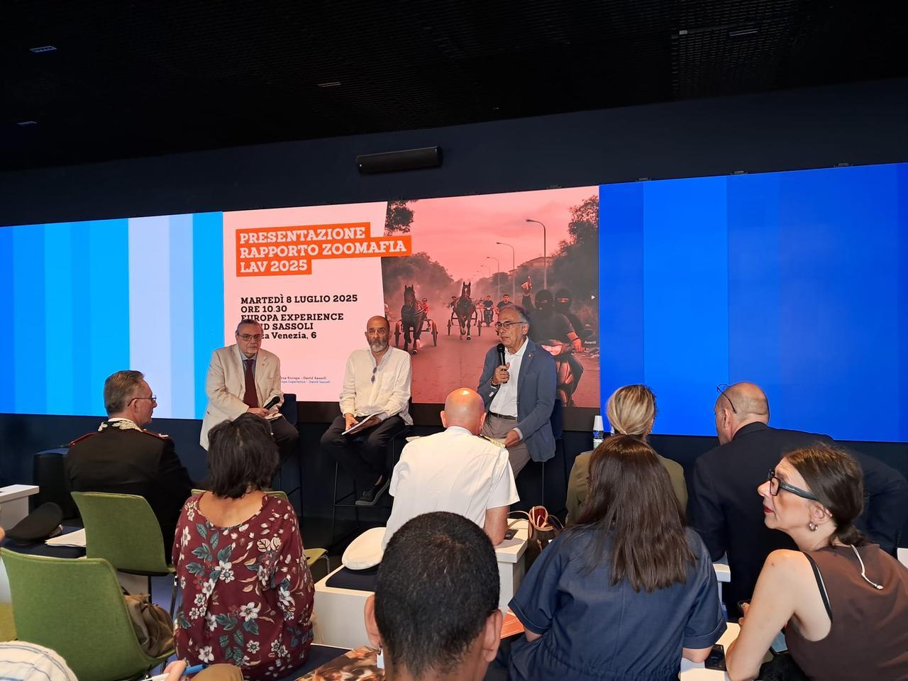 Reati contro gli animali a Ferrara, 71 persone indagate e anche un’uccisione