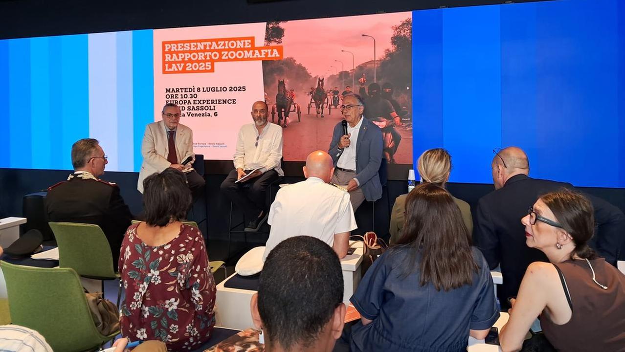 Reati contro gli animali a Ferrara, 71 persone indagate e anche un’uccisione