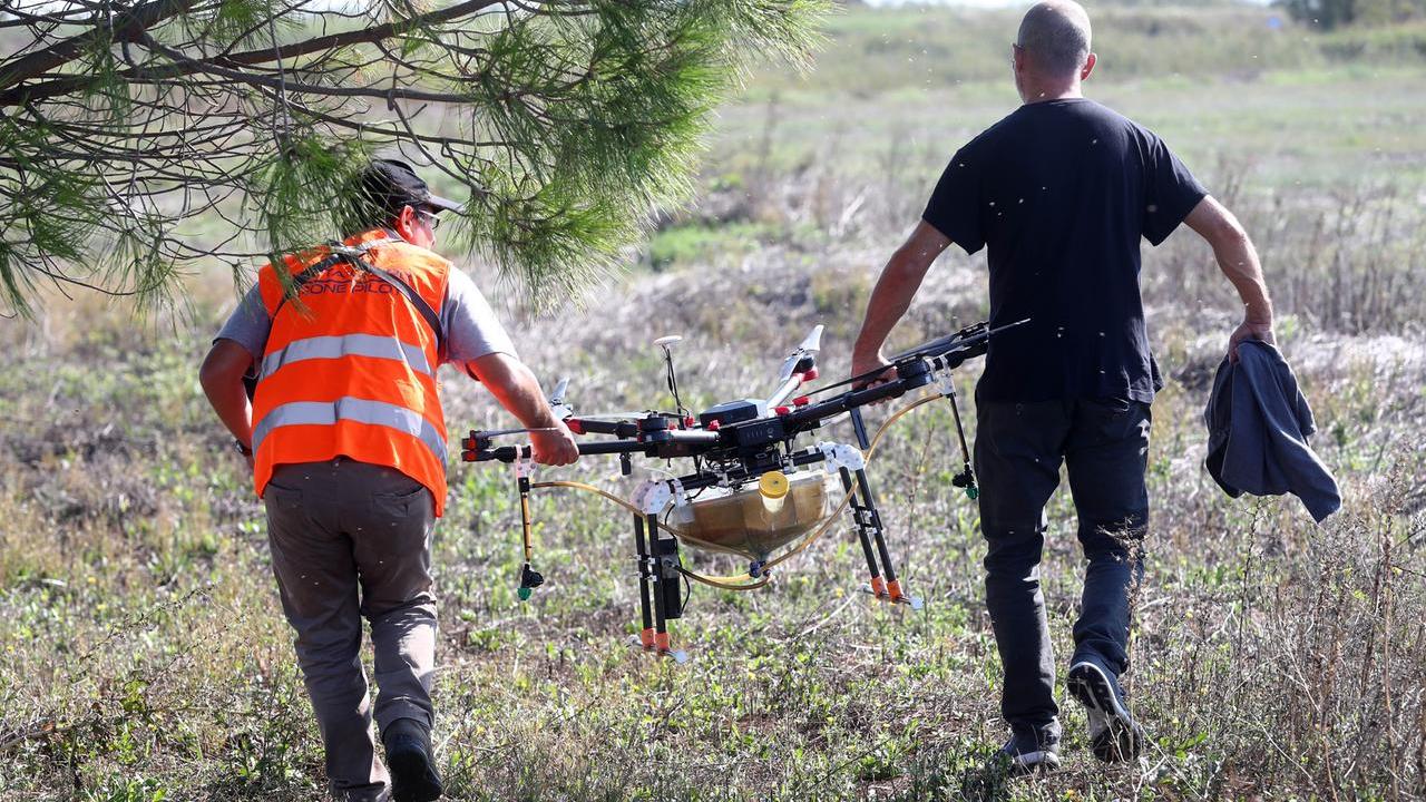Le zanzare non danno tregua. Ai Lidi di Comacchio decolla il drone per trattamenti speciali