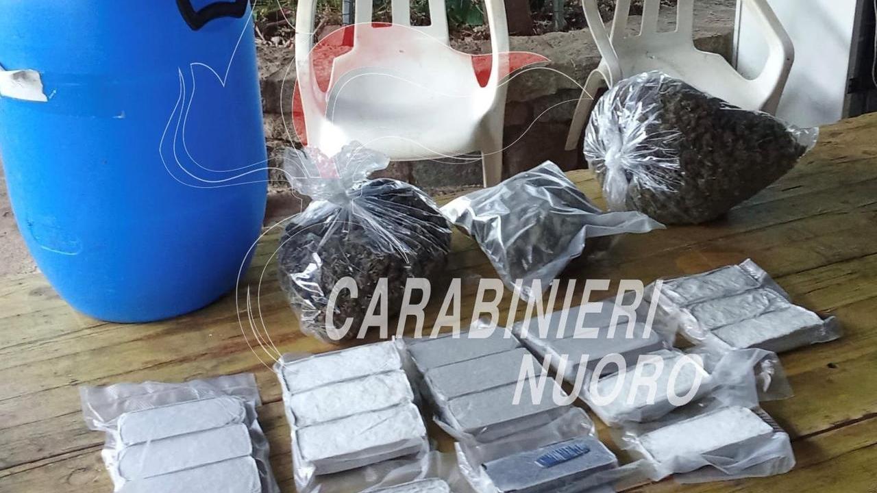 Scoperta piantagione di marijuana in un bunker sotterraneo: arrestati padre e figlio