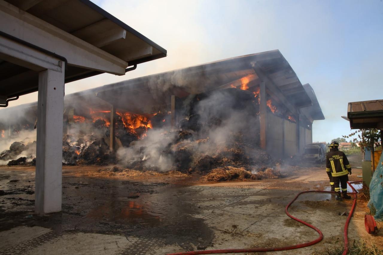 
	Il fienile avvolto dalle fiamme (Foto: Luigi Esposito)

