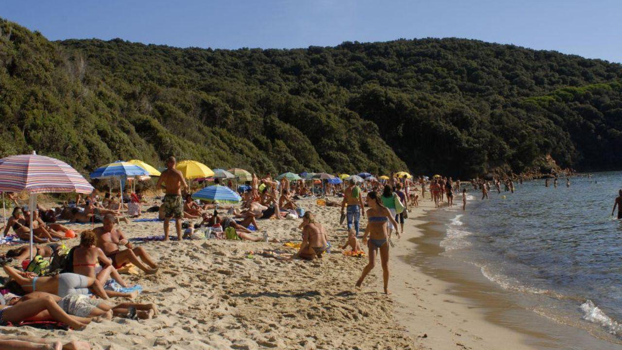 
	La spiaggia di Cala Violina (foto d&rsquo;archivio di Giancarlo Grassi)

