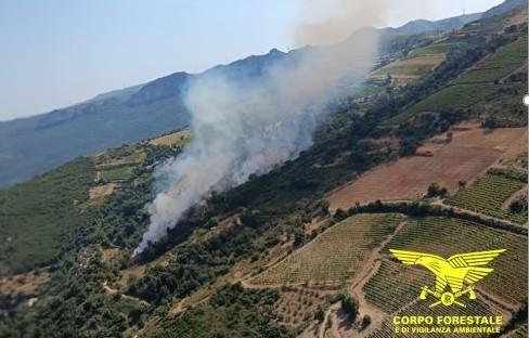 Sedilo brucia, cento ettari di terreni agricoli in fiamme