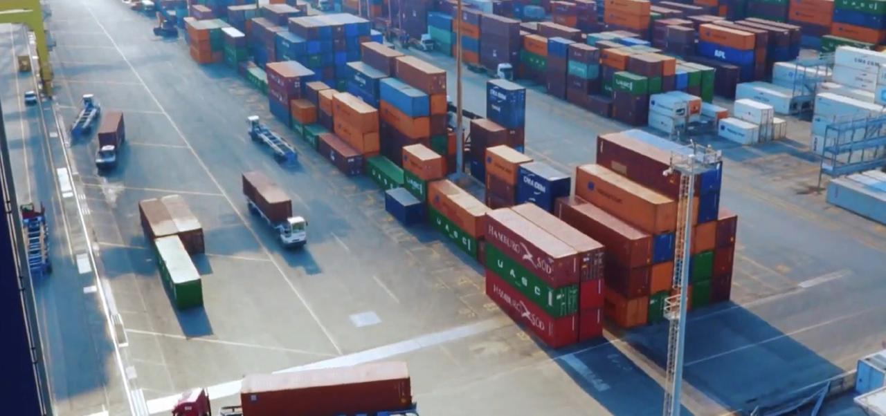 
	Il terminal Tdt in porto

