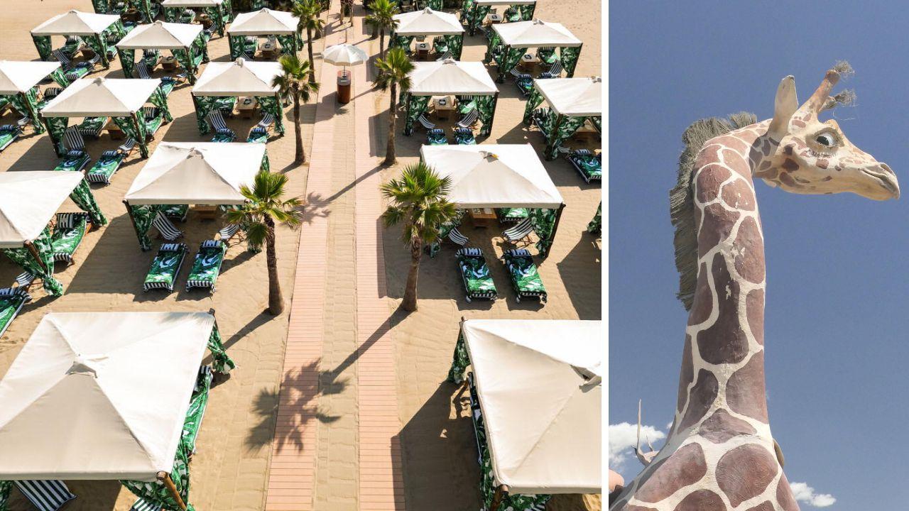 
	La giraffa (foto Paglianti) e la spiaggia con le tende

