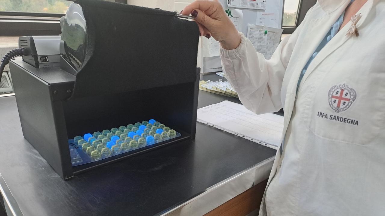 Balneazione, prelievi ogni mese: analisi su batteri spia di inquinamento fecale