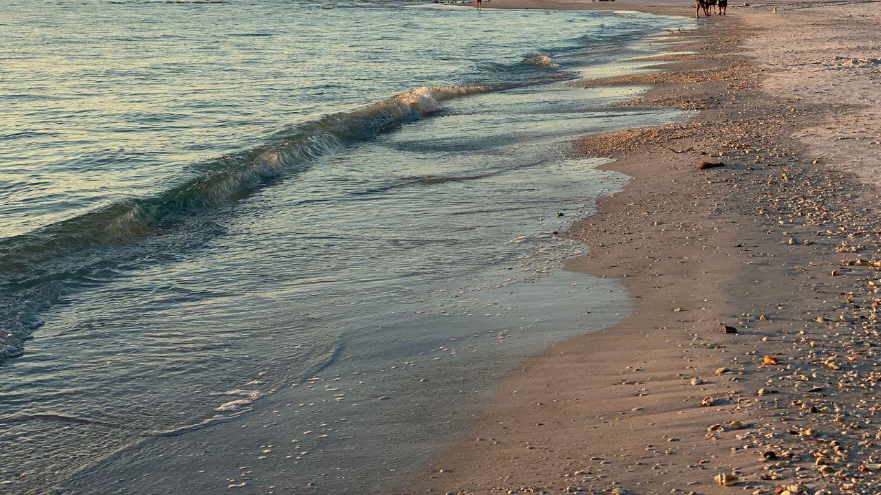 
	Tragedia sulla spiaggia a Montalto di Castro

