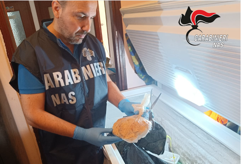 Home-restaurant etnico abusivo scoperto a Reggio Emilia: sequestrati 700 chili di alimenti