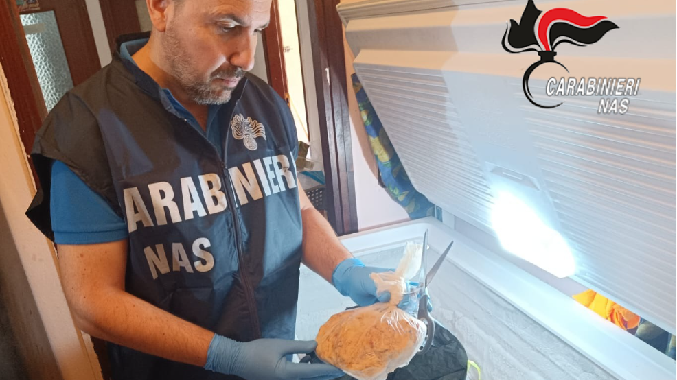 Home-restaurant etnico abusivo scoperto a Reggio Emilia: sequestrati 700 chili di alimenti