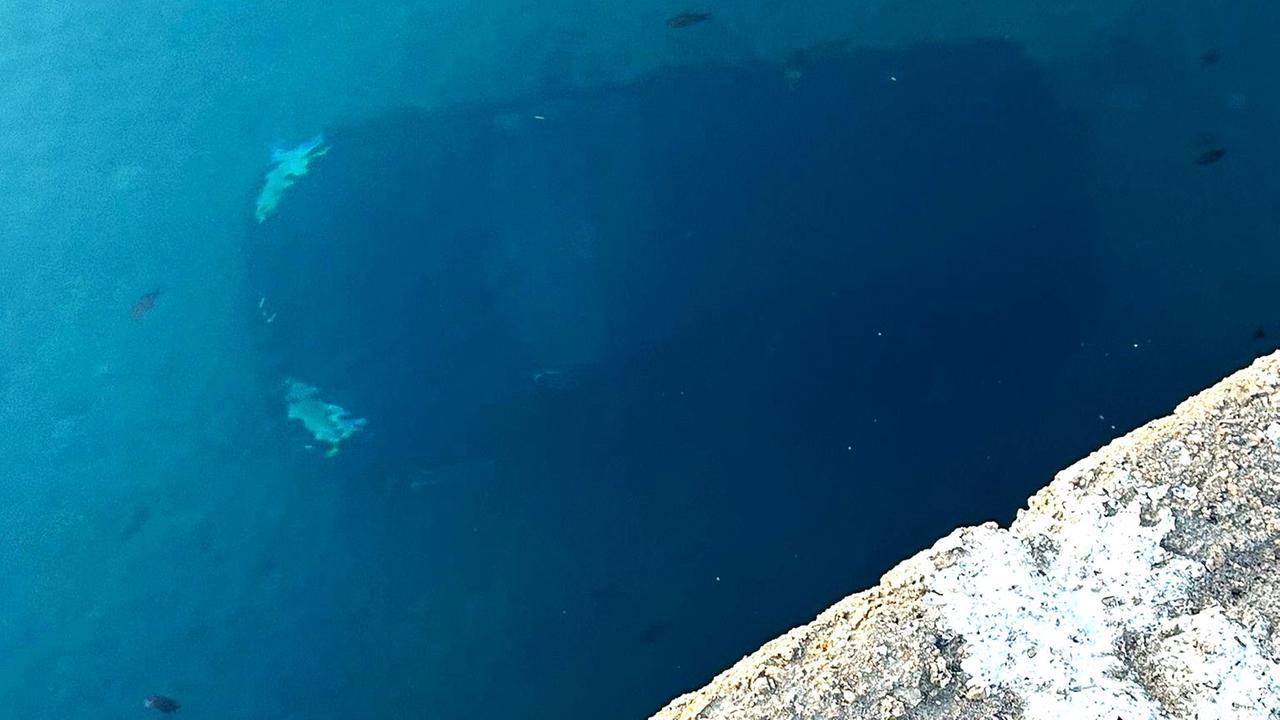 Finisce in mare con l’auto e si salva uscendo dal finestrino