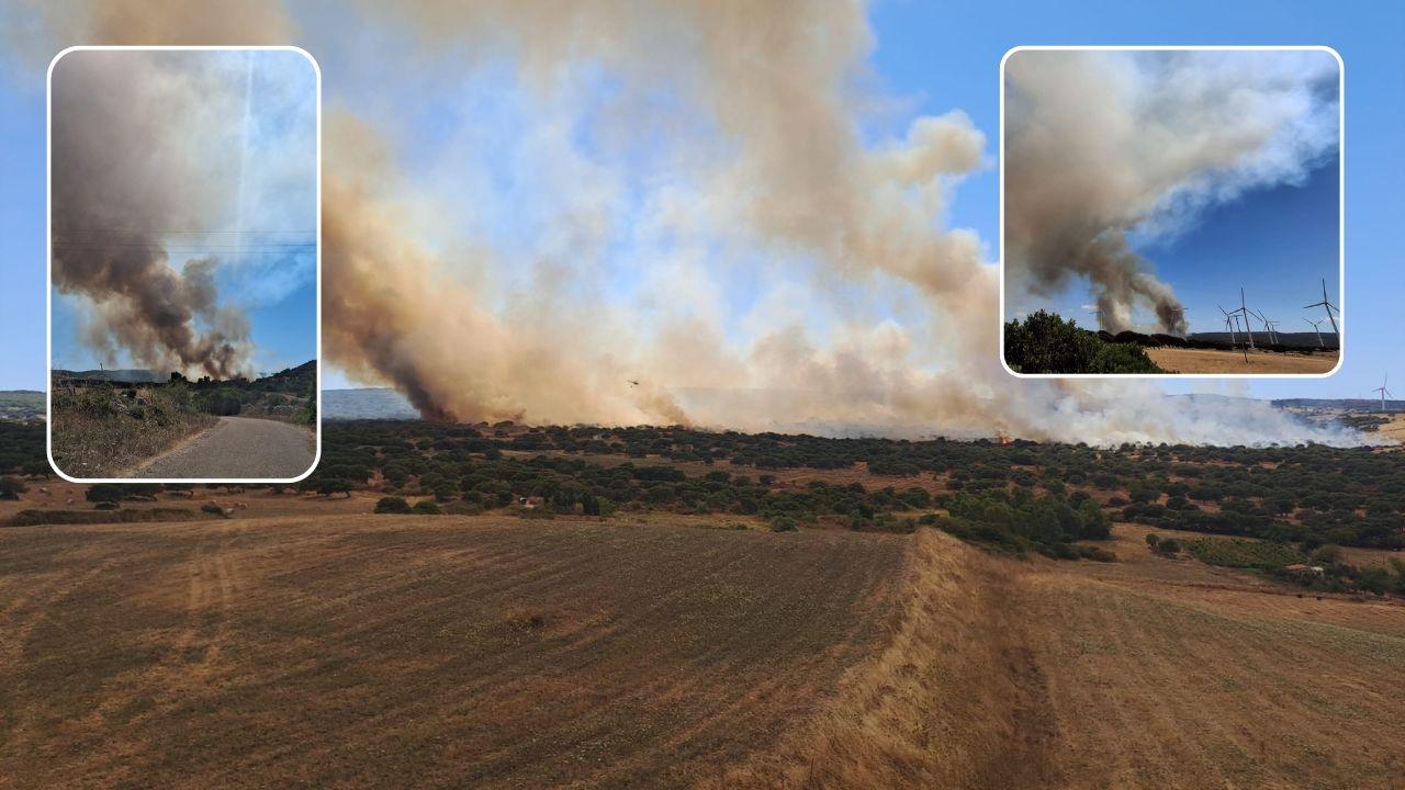 Fiamme a ridosso del parco eolico: in azione tre Canadair e un elicottero