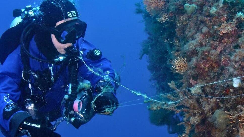 Le reti abbandonate killer dei nostri mari