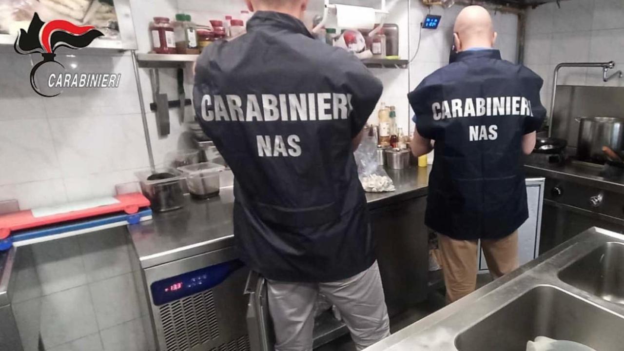 Blatte nella dispensa, i Nas chiudono uno sabilimento balneare: ecco dove