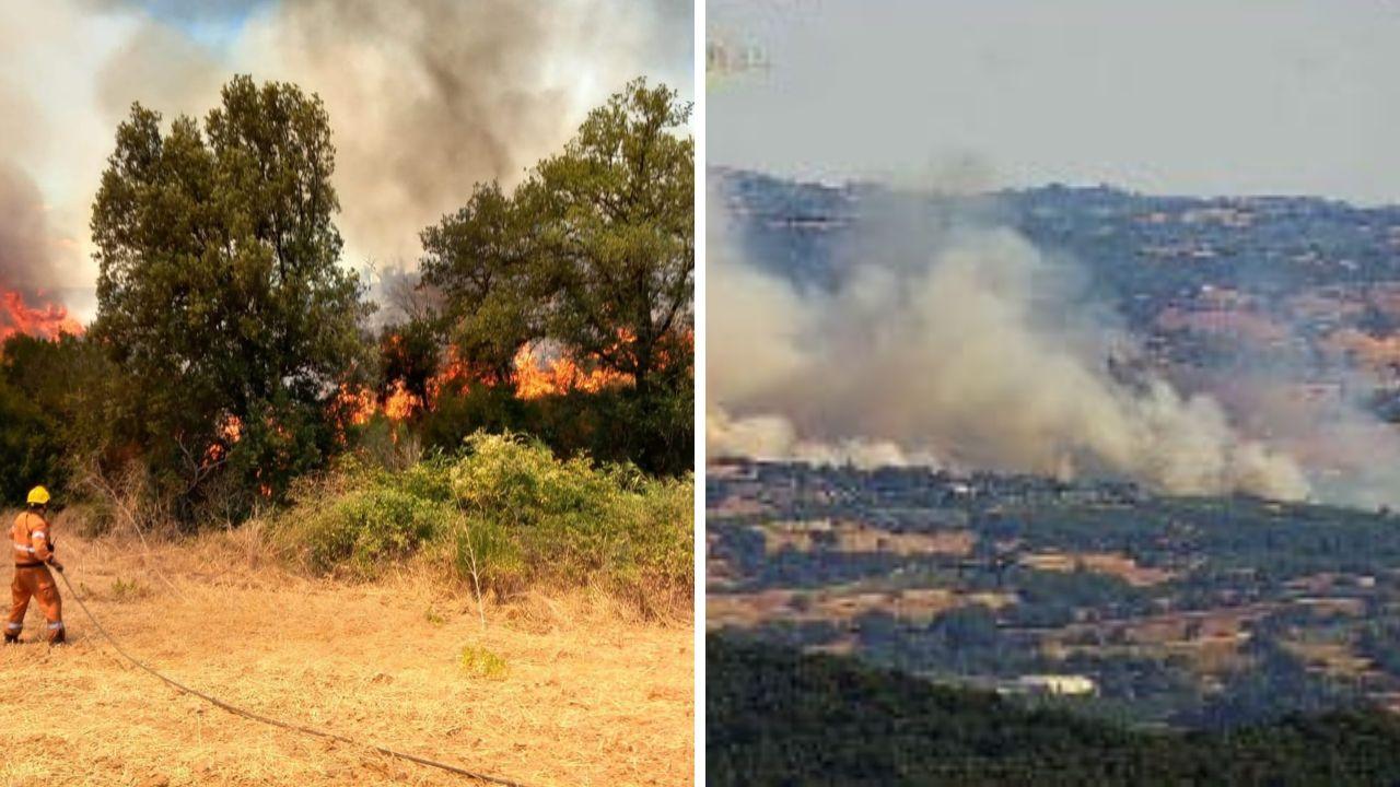 
	L'incendio a Scansano

