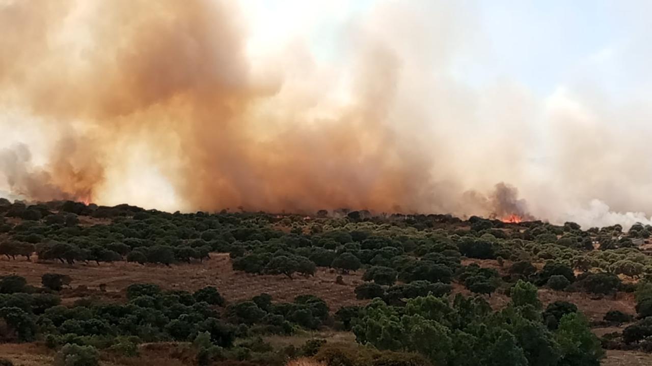 Giornata di roghi nell’isola, Canadair ed elicotteri in azione a Nulvi e a Loculi