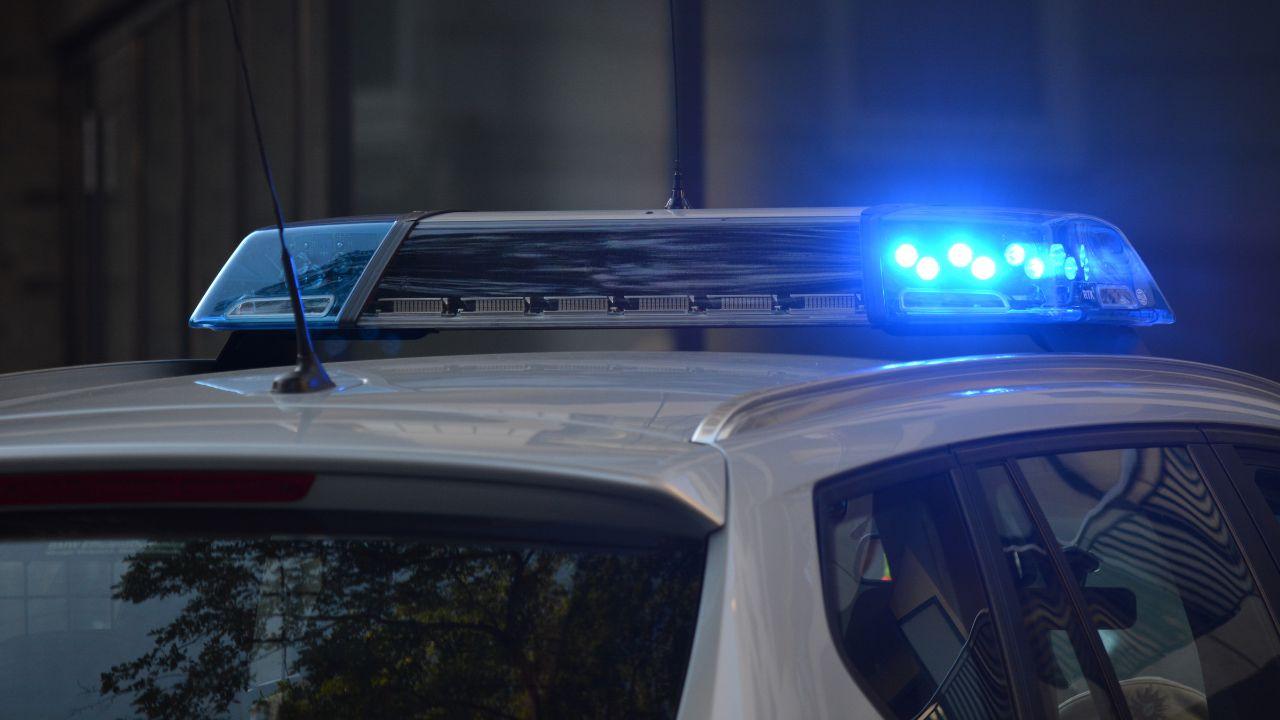 
	L'operazione della polizia di Stato (foto di repertorio)

