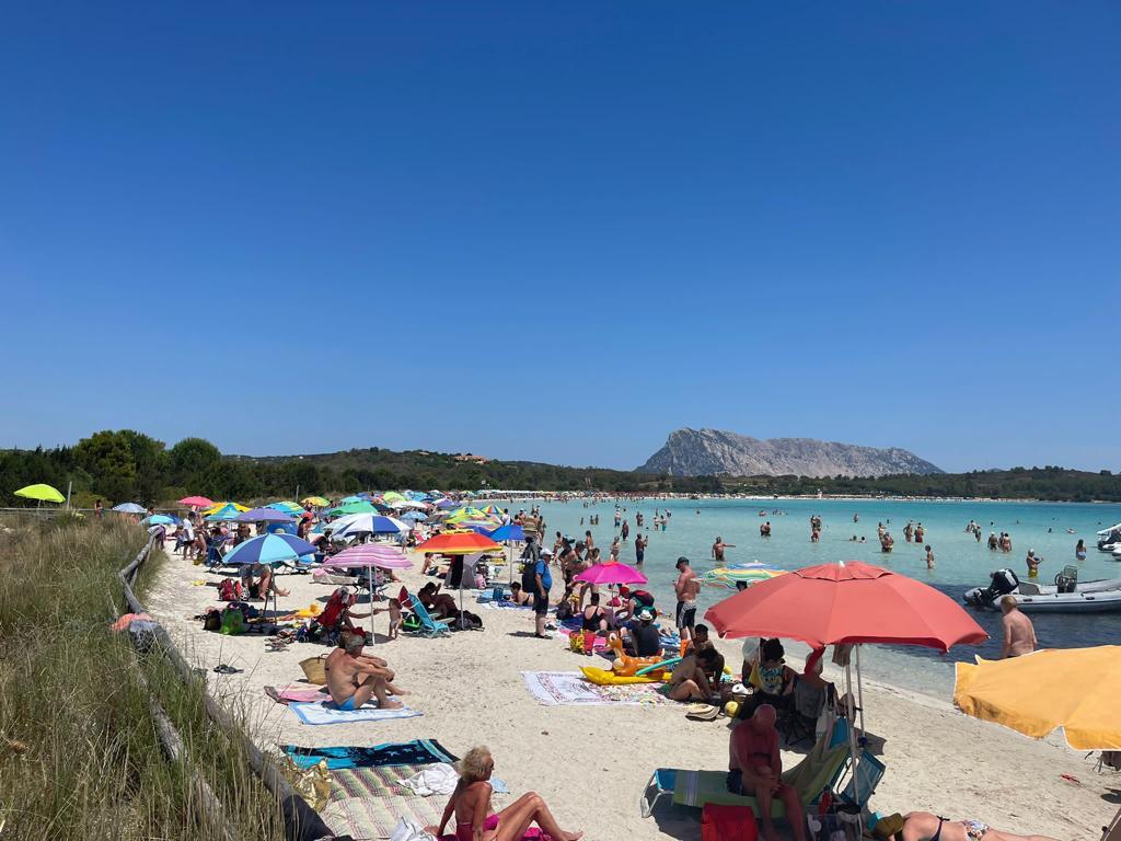 
	La spiaggia di Cala Brandinchi

