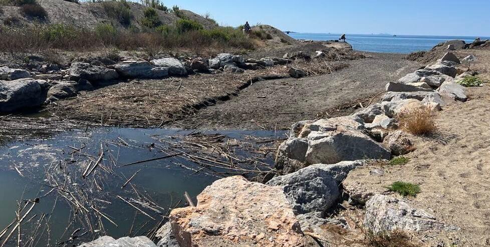 
	La situazione attuale alla foce del fosso Cosimo

