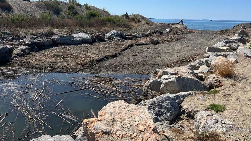 La situazione attuale alla foce del fosso Cosimo