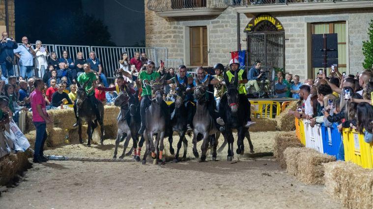 Django vince il Palio degli asinelli: è lui il mattatore acclamato dalla folla