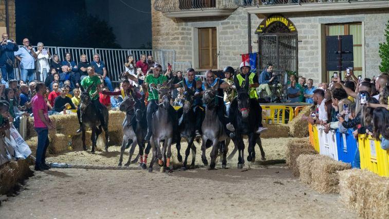 Django vince il Palio degli asinelli: è lui il mattatore acclamato dalla folla