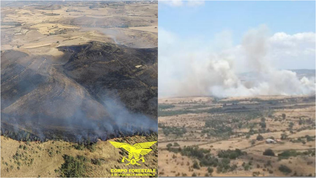 Giornata di fuoco in Sardegna: 14 incendi, a Sindia in fumo 100 ettari