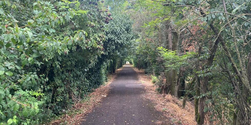 Choc a Castelvetro, il racconto di una donna: «Aggredita e molestata sulla ciclabile»