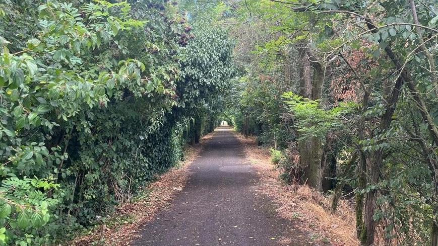 Choc a Castelvetro, il racconto di una donna: «Aggredita e molestata sulla ciclabile»