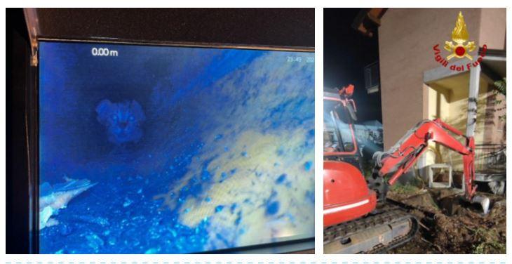 Gattino intrappolato in un tubo di scolo: salvato dopo ore di lavoro dai vigili del fuoco