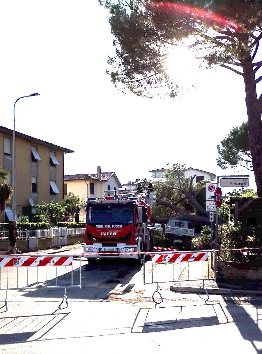 Scarlino: crolla pino vicino all’asilo, colpite due auto