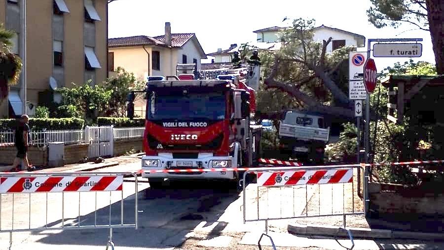 Scarlino: crolla pino vicino all’asilo, colpite due auto