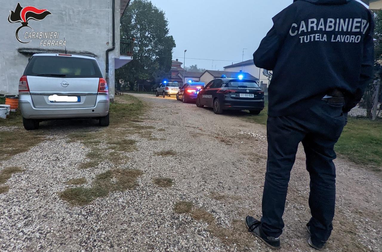 Sfruttati nei campi a 5 euro l’ora e in 18 stipati in casa. Manette a un “caporale”