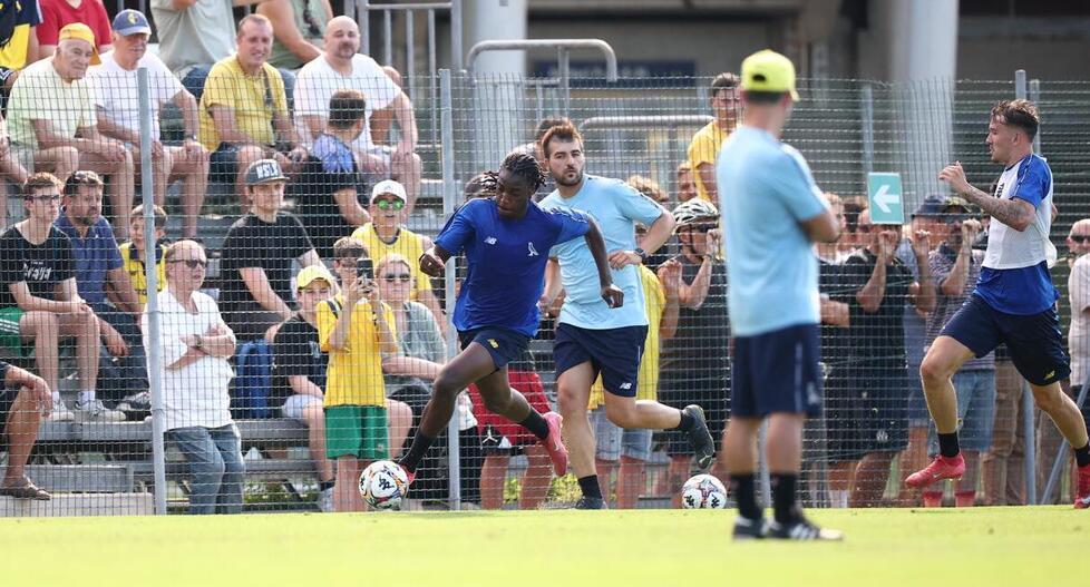 
	Allenamento allo Zelocchi

