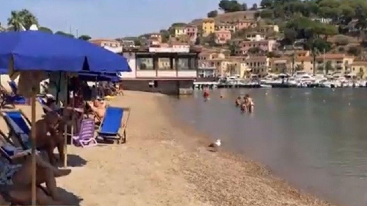 
	La spiaggia pubblica a Porto Azzurro


