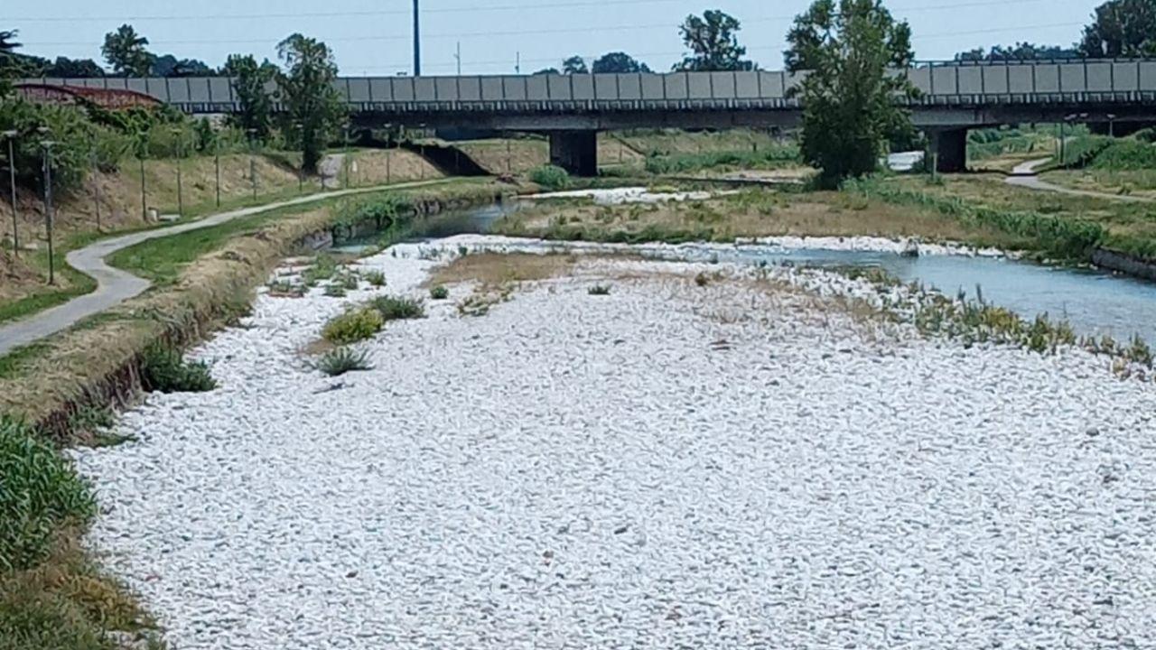 
	Il letto del Frigido pieno di detriti del marmo

