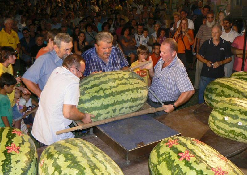 NOVELLARA MISS ANGURIA 2019 DELL'AZIENDA BRIONI