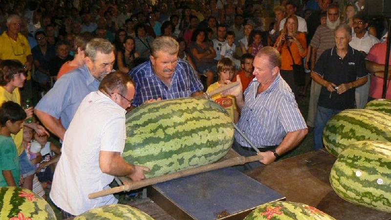 NOVELLARA MISS ANGURIA 2019 DELL'AZIENDA BRIONI