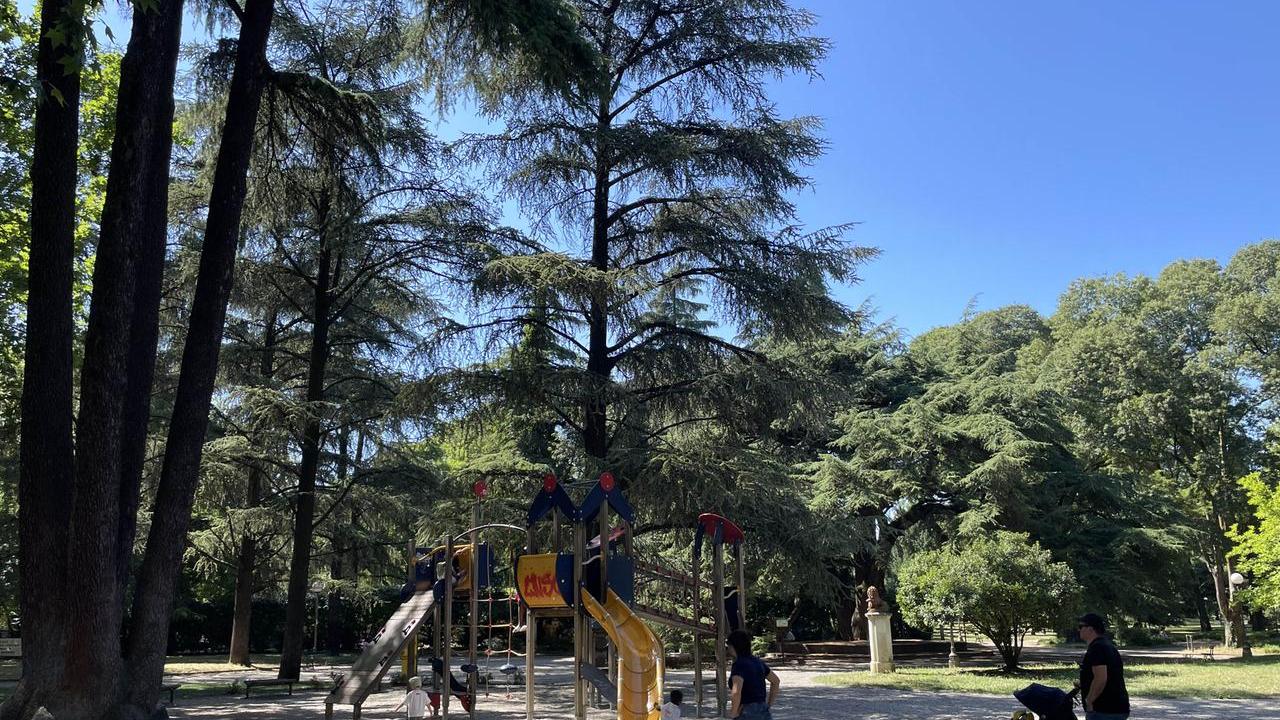 Piano strategico per il centro storico, l’assessora Frisoni a Reggio: «Ottime premesse per il rilancio»