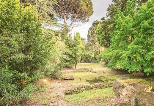 Cecina, ecco le telecamere della Rai  per gli "Orizzonti della medicina"