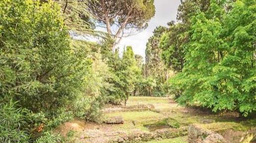 Cecina, ecco le telecamere della Rai per gli "Orizzonti della medicina"